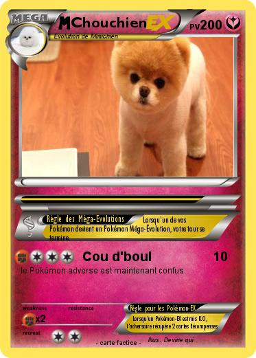 Pokemon Chouchien