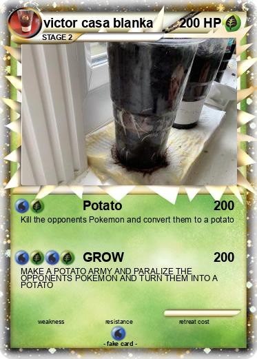 Pokemon victor casa blanka