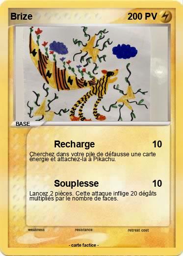 Pokemon Brize