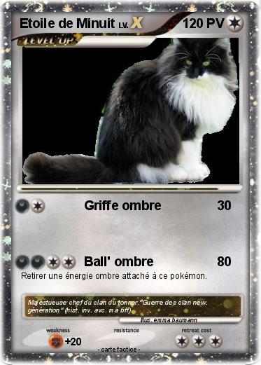 Pokemon Etoile de Minuit