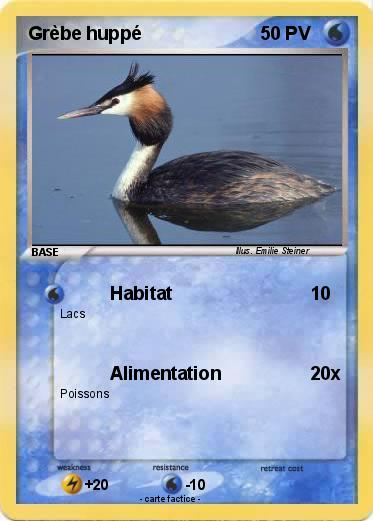 Pokemon Grèbe huppé