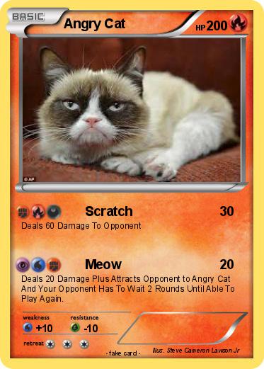 Pokemon Angry Cat