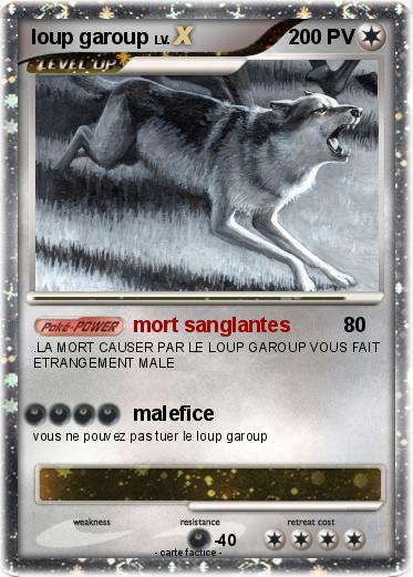 Pokemon loup garoup