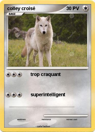 Pokemon colley croisé