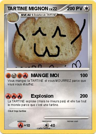 Pokemon TARTINE MIGNON