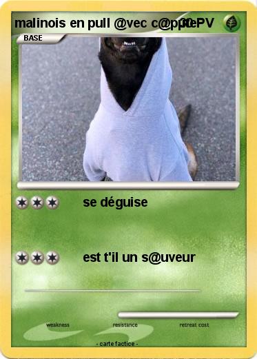 Pokemon malinois en pull @vec c@pµte