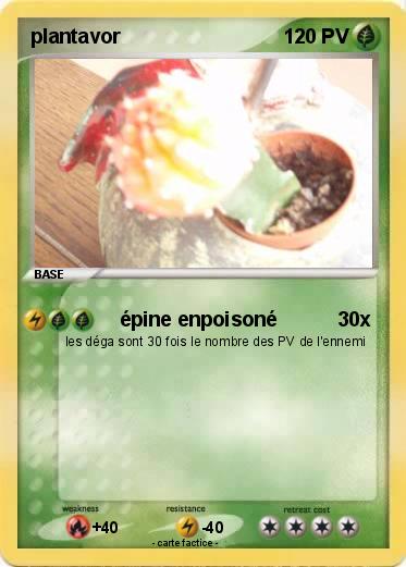 Pokemon plantavor