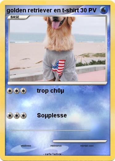 Pokemon golden retriever en t-shirt