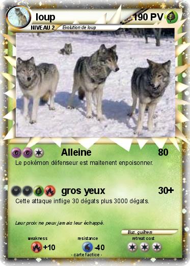 Pokemon loup