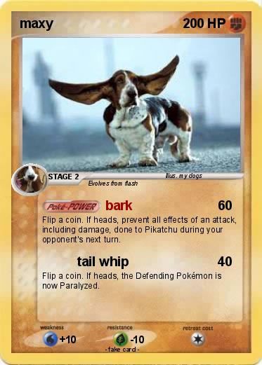Pokemon maxy