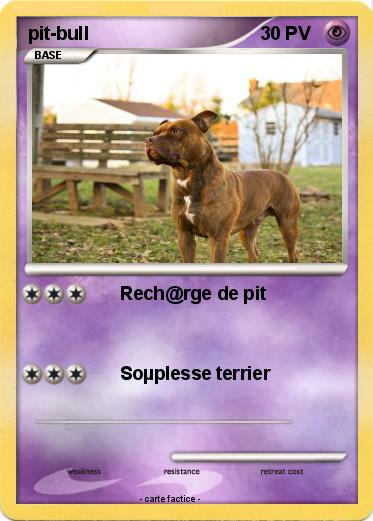 Pokemon pit-bull