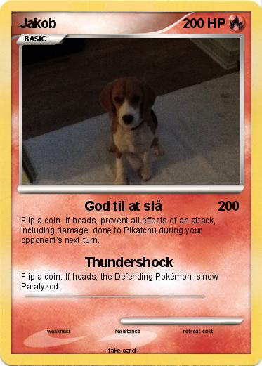 Pokemon Jakob