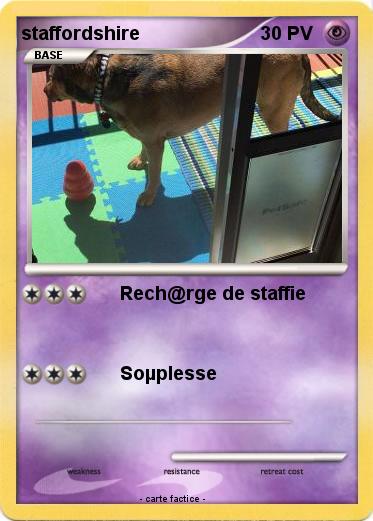 Pokemon staffordshire