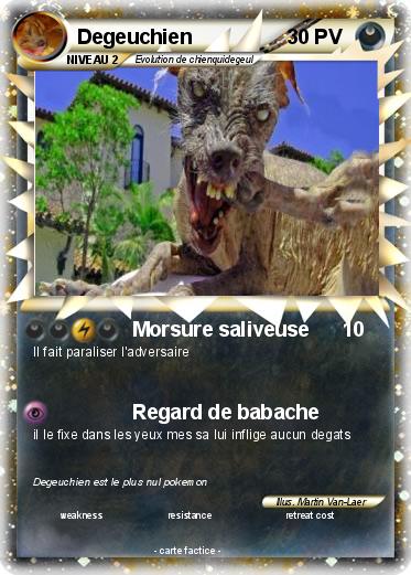 Pokemon Degeuchien