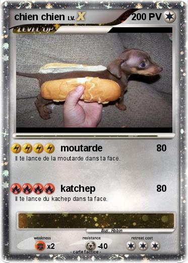 Pokemon chien chien