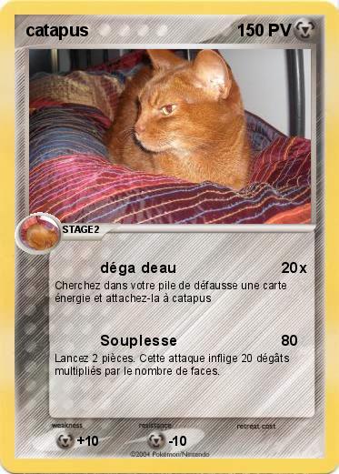 Pokemon catapus