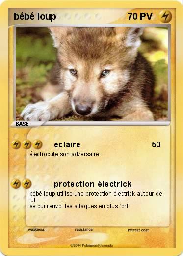 Pokemon bébé loup