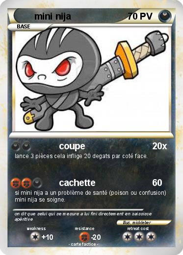 Pokemon mini nija