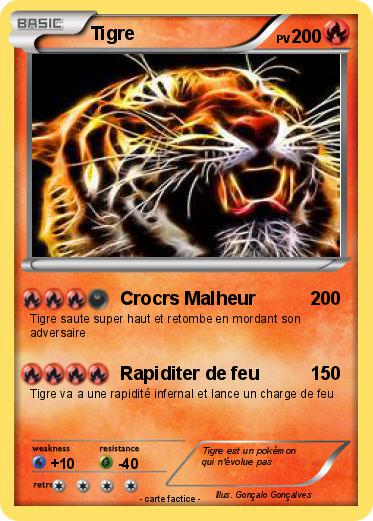 Pokemon Tigre