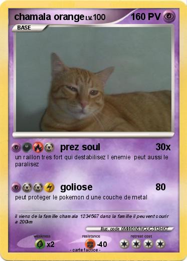 Pokemon chamala orange