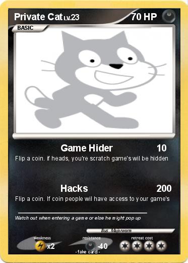 Pokemon Private Cat