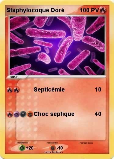 Pokemon Staphylocoque Doré