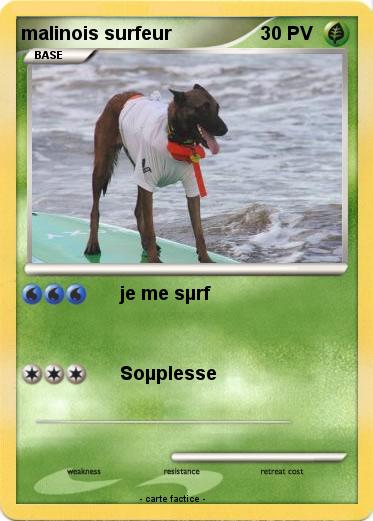 Pokemon malinois surfeur
