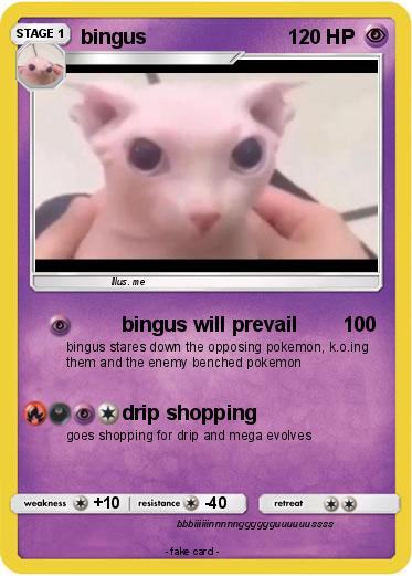 Pokemon bingus