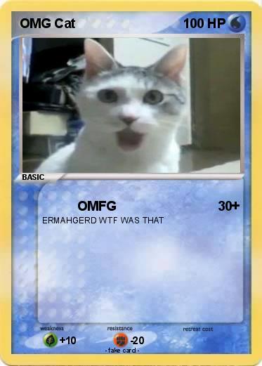 Pokemon OMG Cat