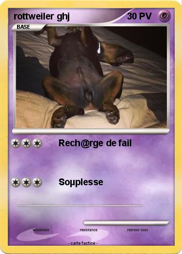 Pokemon rottweiler ghj