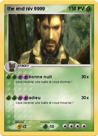 Pokemon the end niv 9999