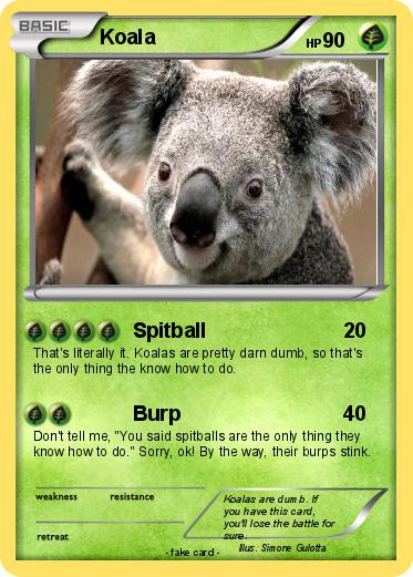 Pokemon Koala