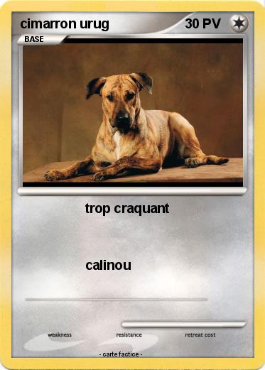 Pokemon cimarron urug