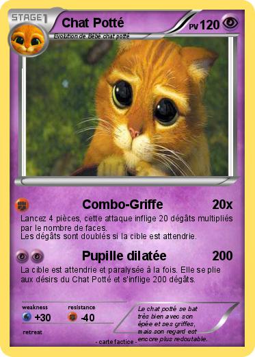 Pokemon Chat Potté
