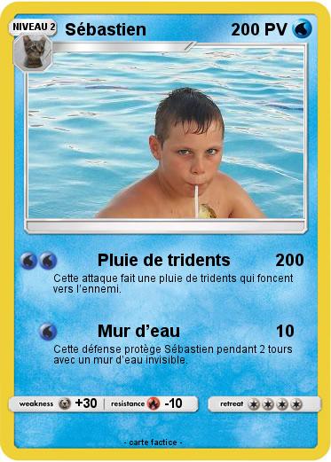 Pokemon Sébastien