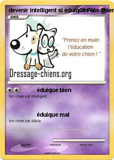 Pokemon devenir intelligent si éduiquer vos chien