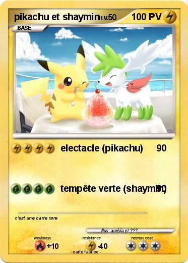 Pokemon pikachu et shaymin