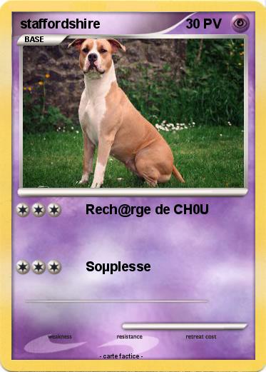 Pokemon staffordshire