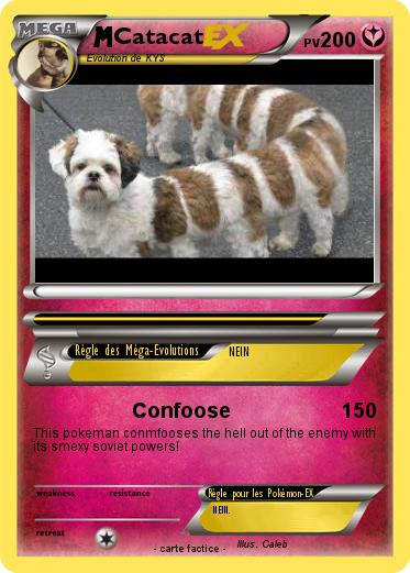 Pokemon Catacat
