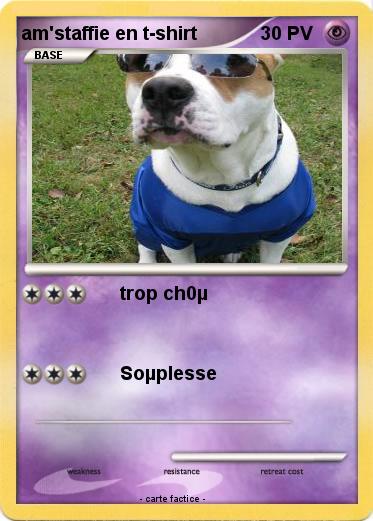 Pokemon am'staffie en t-shirt