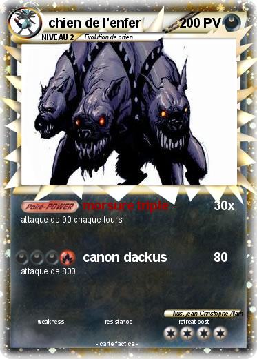 Pokemon chien de l'enfer