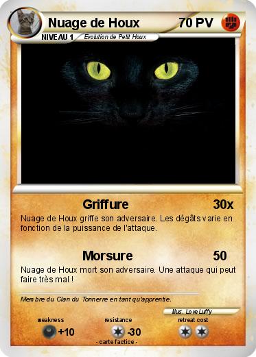 Pokemon Nuage de Houx