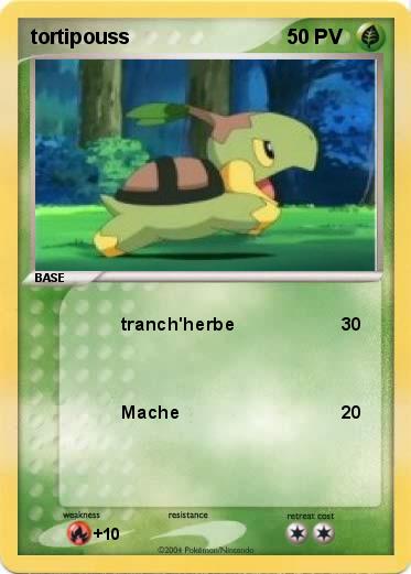 Pokemon tortipouss