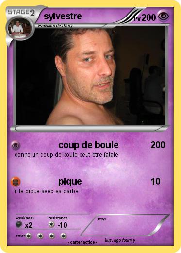 Pokemon sylvestre