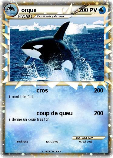 Pokemon orque