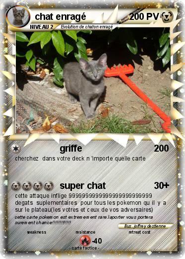 Pokemon chat enragé