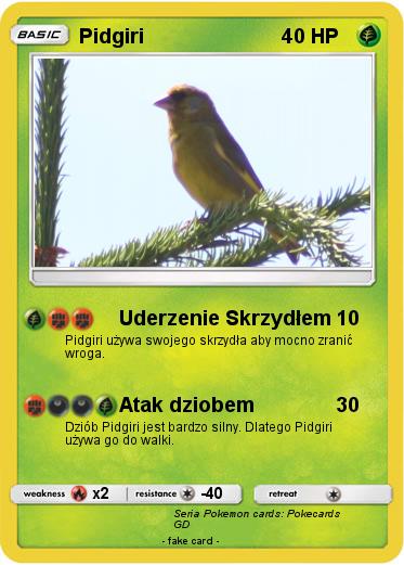 Pokemon Pidgiri