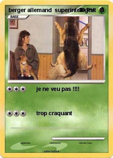 Pokemon berger allemand  superintelligent  ?!