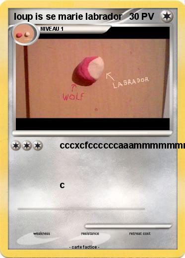 Pokemon loup is se marie labrador