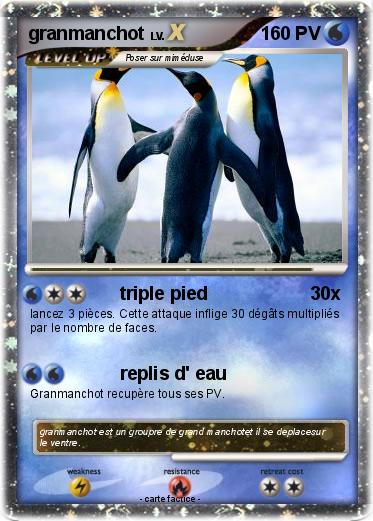 Pokemon granmanchot